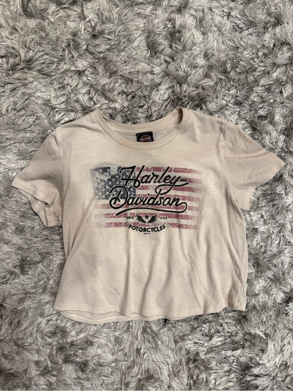 Harley-Davidson Beige Short Sleeve Tee with Flag Graphic